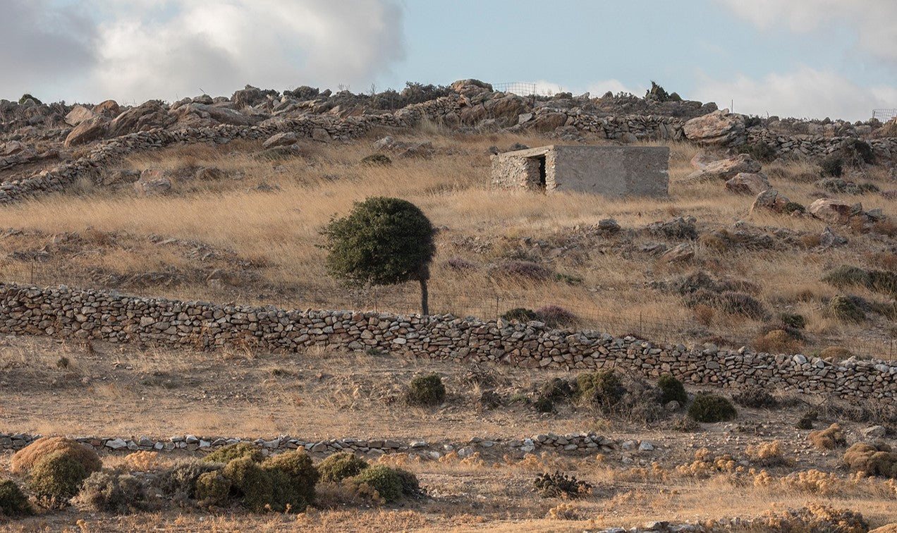 Naxos. Floral wallpaper